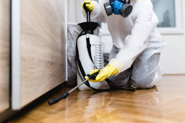Best Exterminator Services  in Pipestone, MN