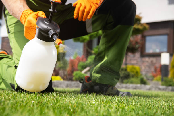Best Pest Control for Homes  in Pipestone, MN