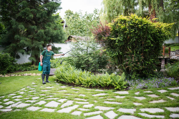 Best Pest Inspection Near Me  in Pipestone, MN