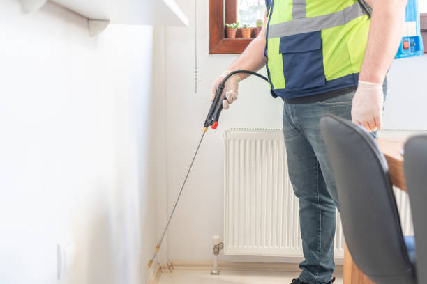 Best Affordable Pest Control Services  in Pipestone, MN