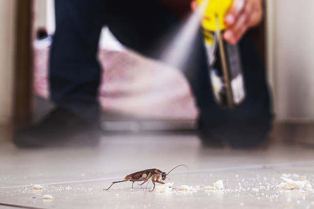 Best Pest Removal Services  in Pipestone, MN