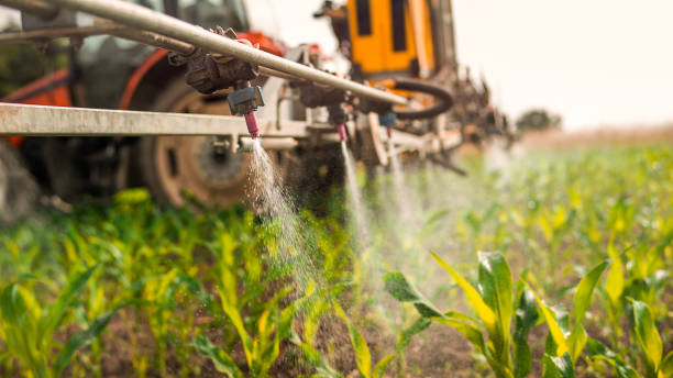 Trusted Pipestone, MN Pest Control Experts